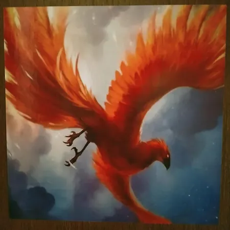 Fenix Rooms-2